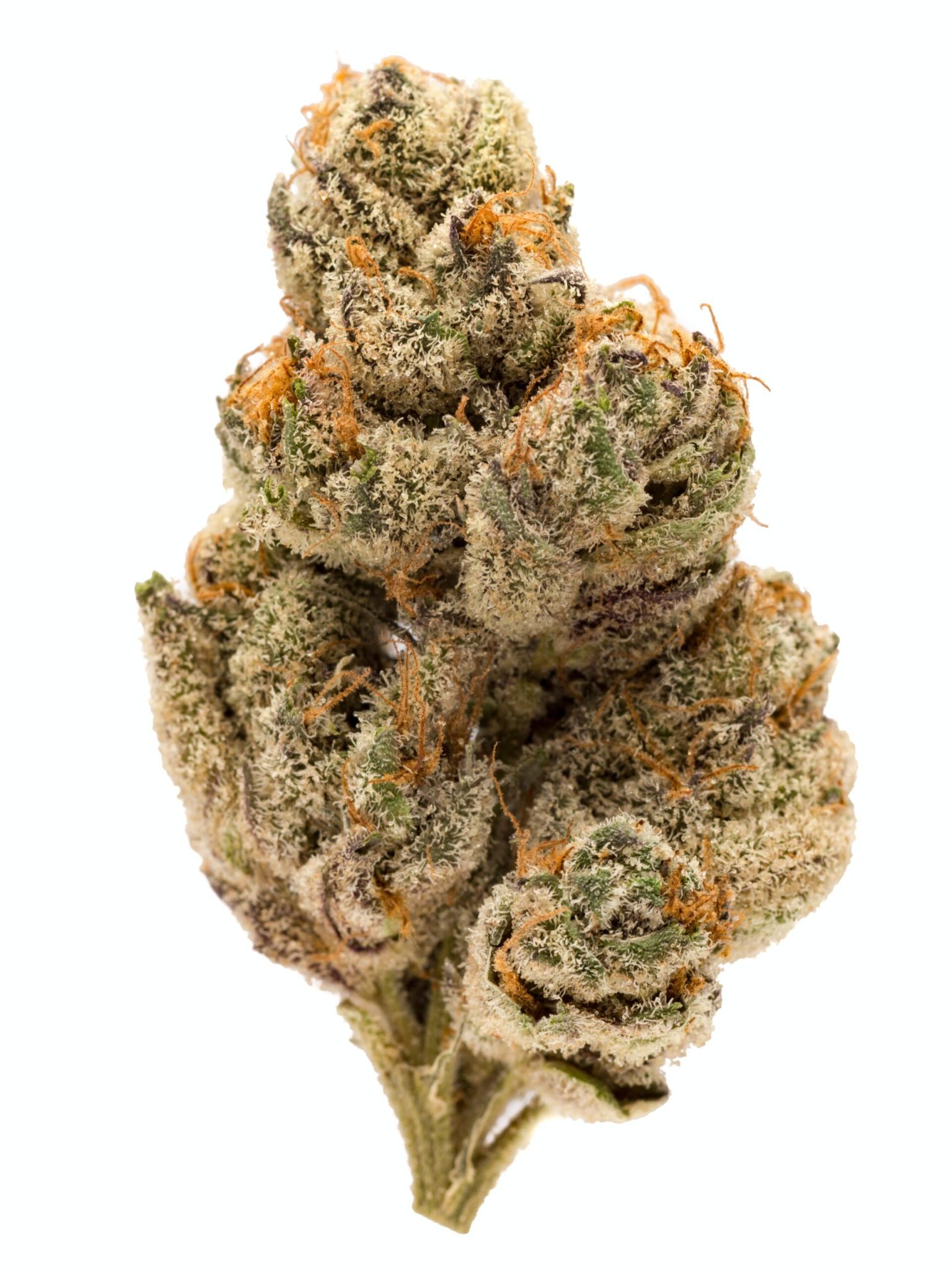 Buy do si dos weed strain Online - do si dos weed strain