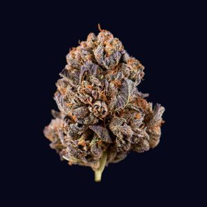 purple gelato weed