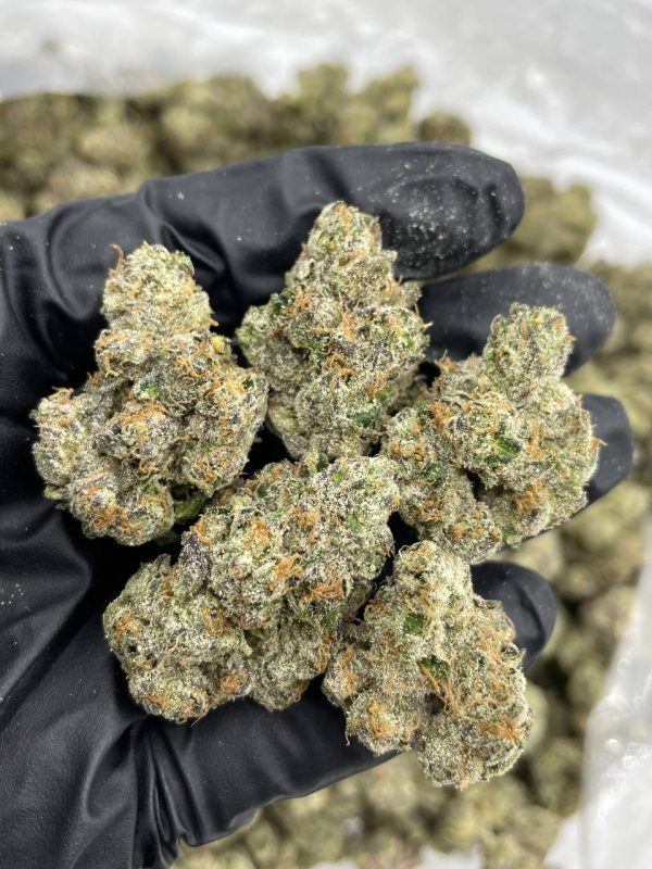 bolo runtz strain