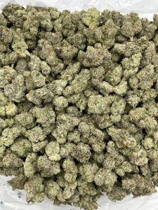 bolo runtz strain
