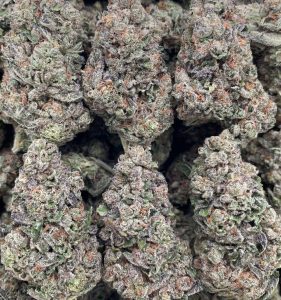 bolo runtz strain