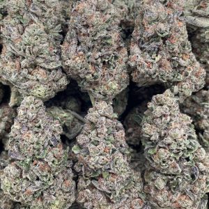 bolo runtz strain