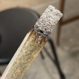 bolo runtz strain