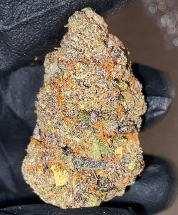 grape gelato strain