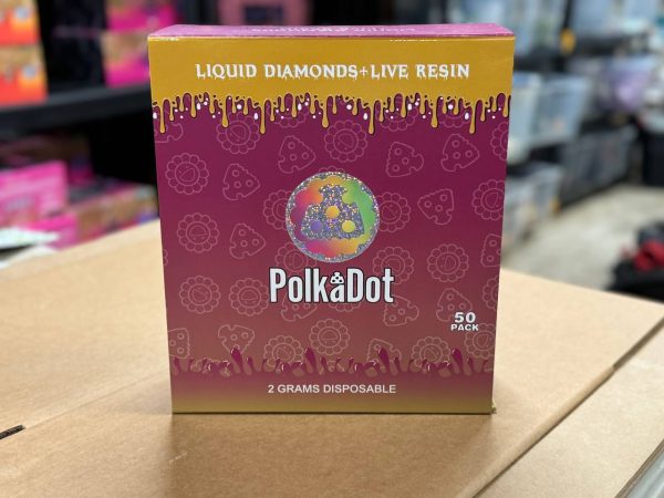 polkadot dispo