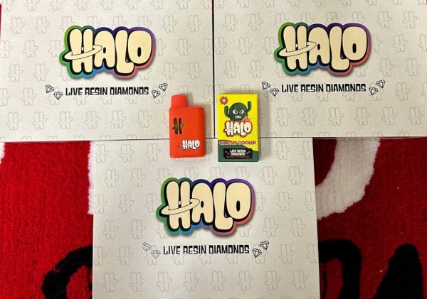 halo disposable