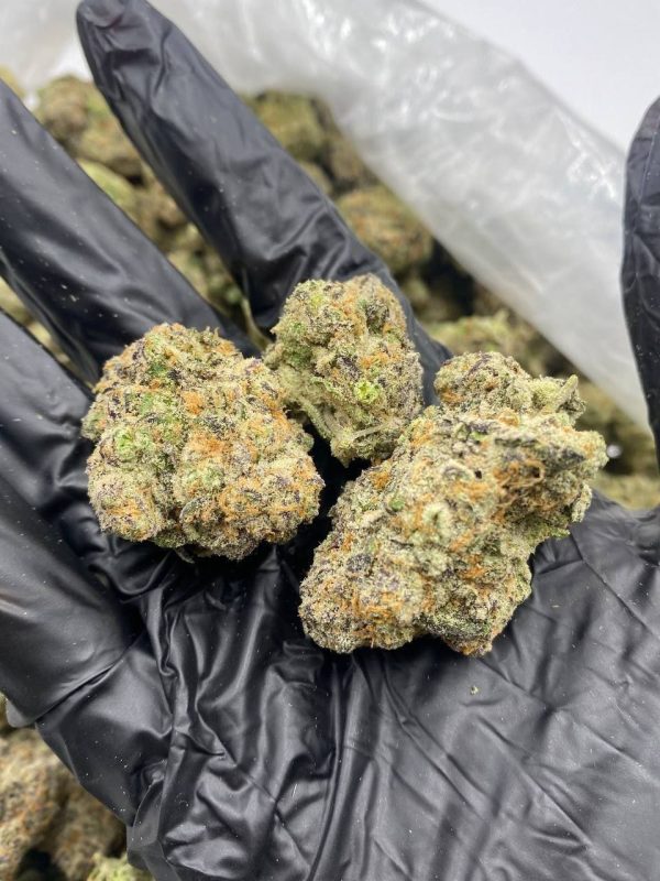 express cake-lava cake strain