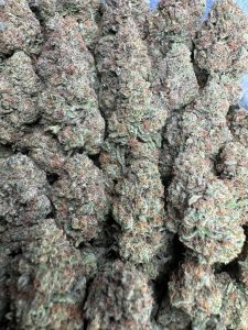 lemon cherry runtz strain
