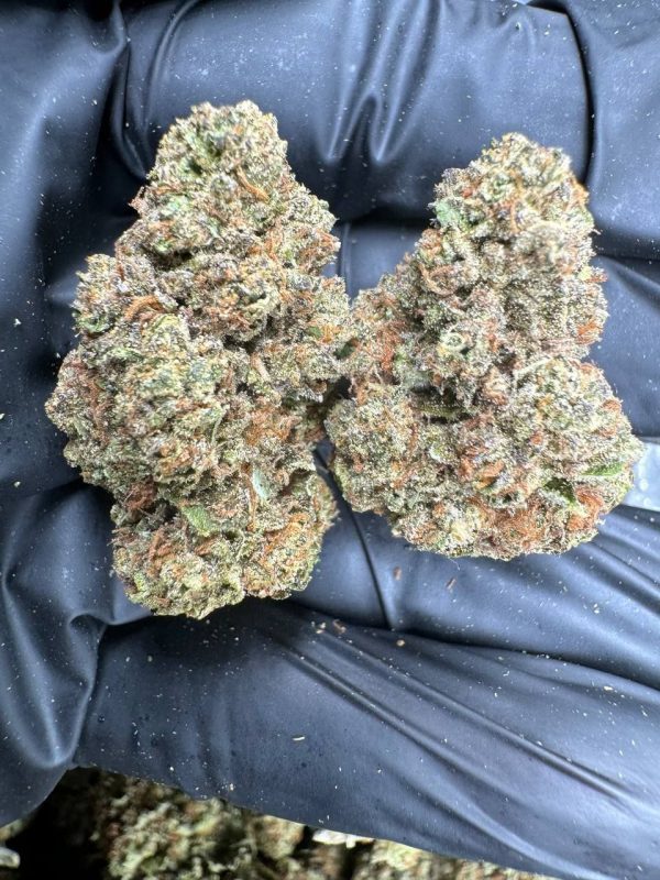 lemon cherry runtz strain