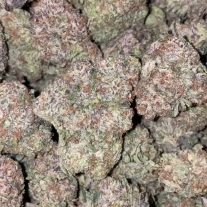 japanese peaches strain