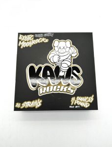 kaws moon rocks