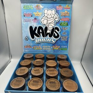 kaws moon rocks
