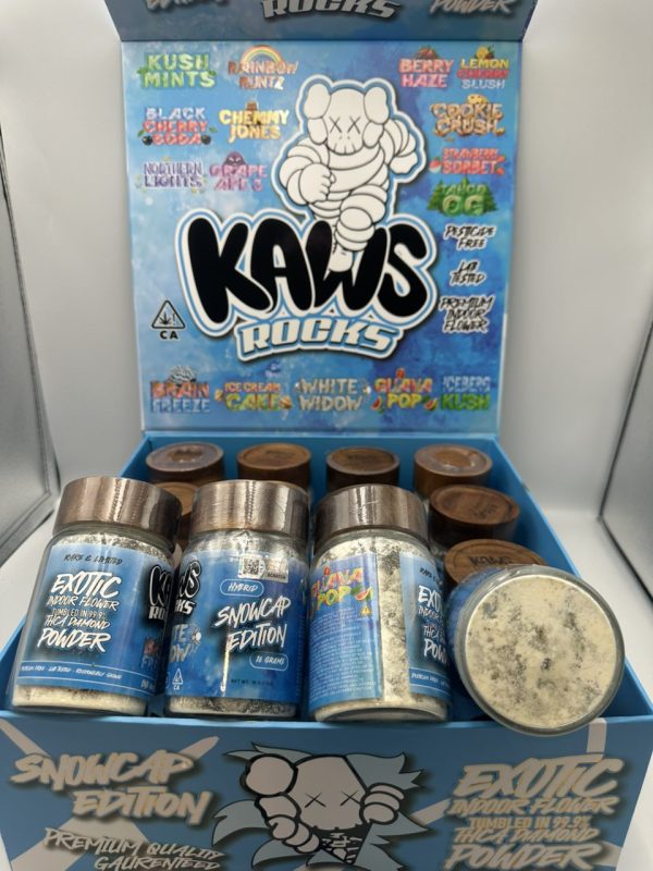 kaws moon rocks