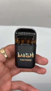 lush disposable