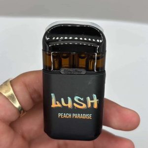 lush disposable