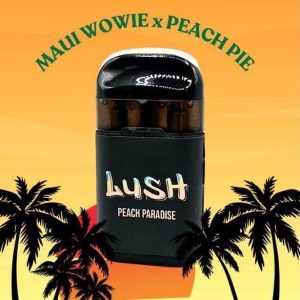 lush disposable, lush disposable vape, lush 2g disposable, lush ice disposable vape, lush vape disposable, lush 2g disposable review, lush alien disposable, lush disposable thc, lush live resin disposable, lush 2 gram disposable, lush bar disposable, lush dispo, lush disposable cart, lush disposable vape review, lush disposables, lush vape, lush vapes, lush bar vape, lush vape pen, lush vapes, lush alien vape, lush thc vape, lush vape disposable, lush cart, lush carts, lush thc