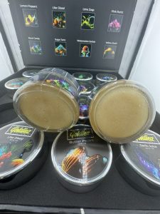 goldiez shatter,