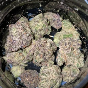 kind tree strain