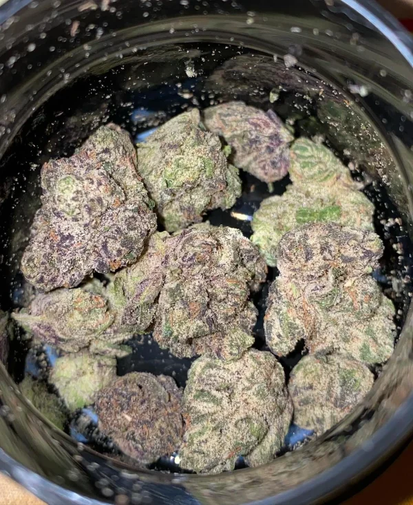 kind tree strain