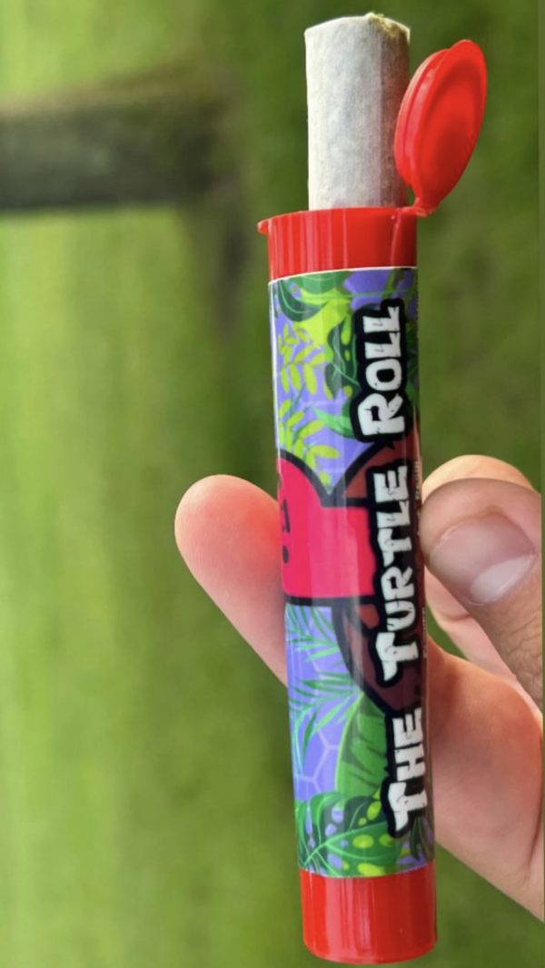 the turtle roll
