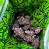 snooze pillows weed