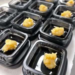 rosin tech labs