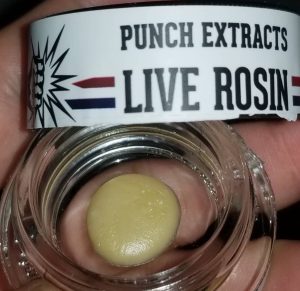 punch extracts live rosin