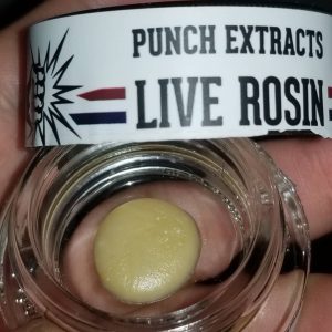 punch extracts live rosin