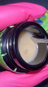 dino squish live rosin