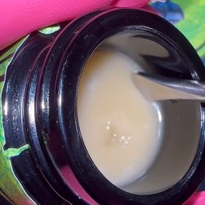 dino squish live rosin