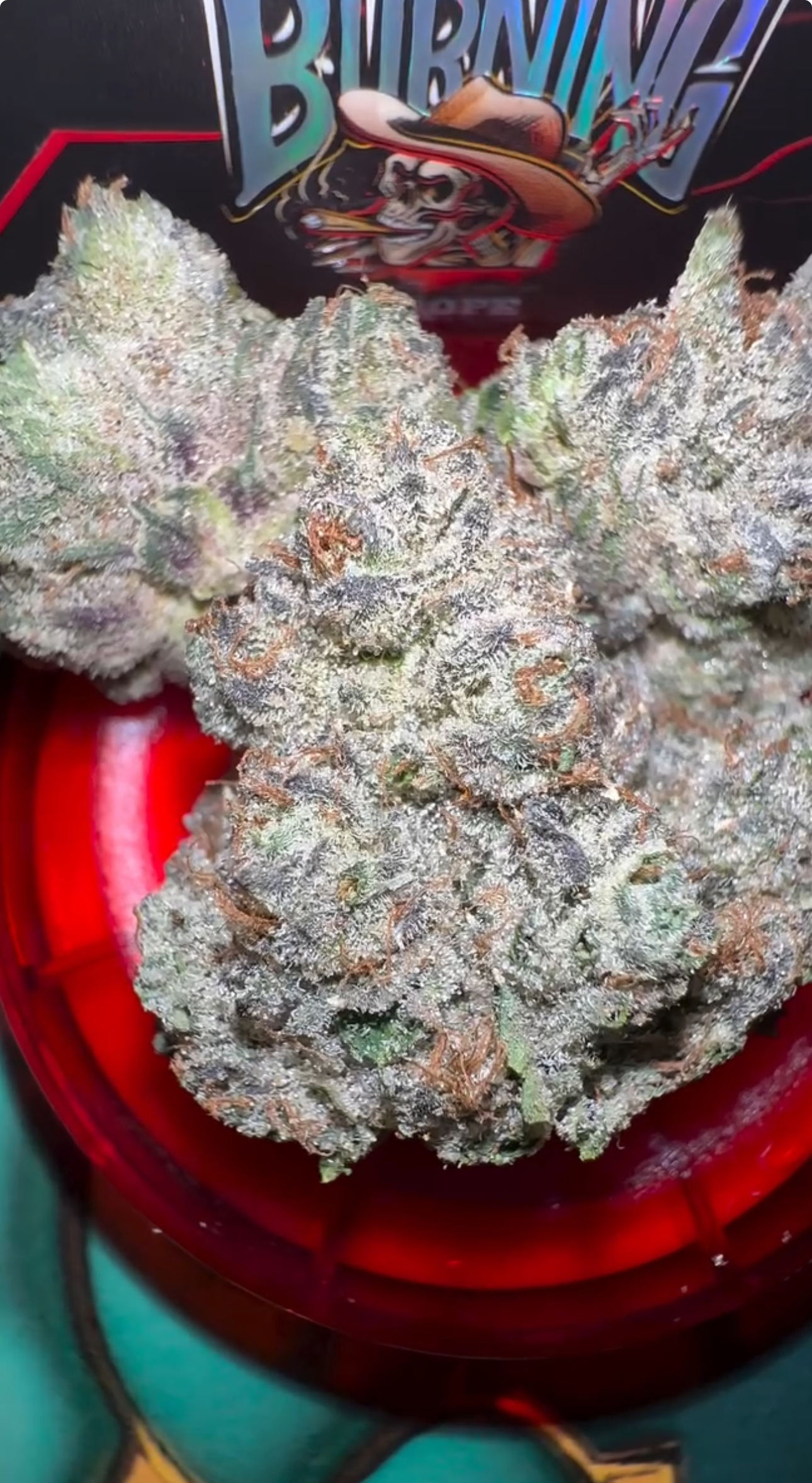 burning rope pharms strain burning rope pharms strain