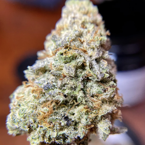 la baker strain