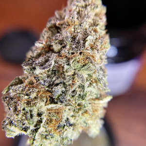 la baker strain