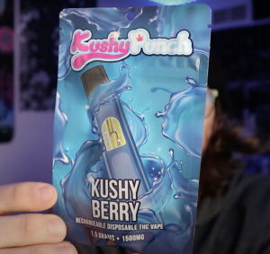 kushy punch disposable