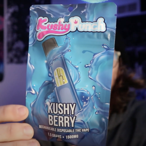 kushy punch disposable