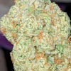 kind tree strain