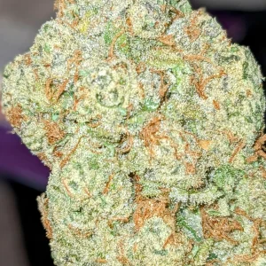 kind tree strain