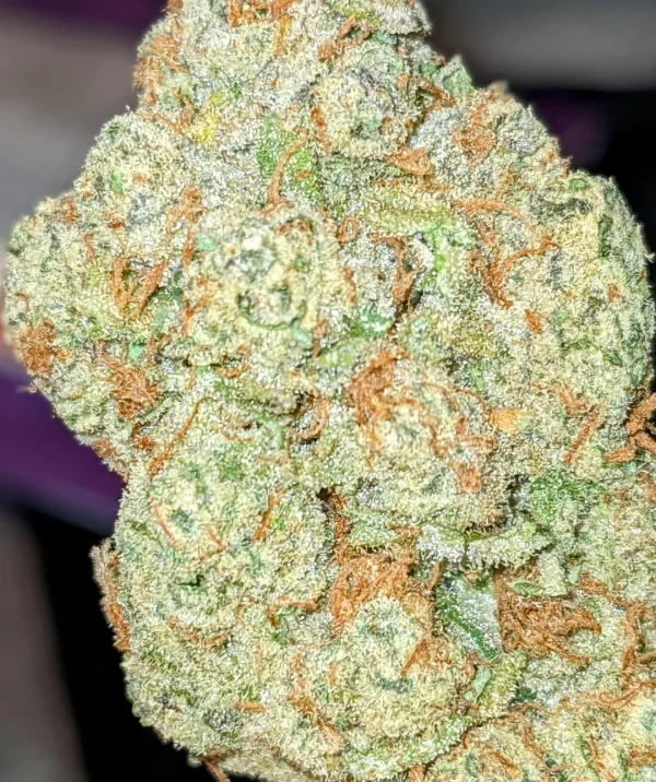 kind tree strain