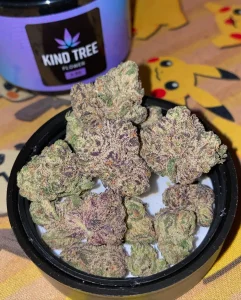 kind tree weed