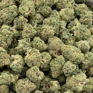 grape god strain