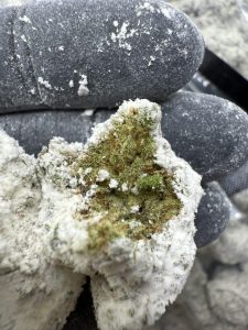 persy mini snowballs