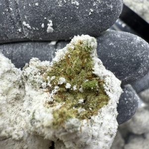 persy mini snowballs