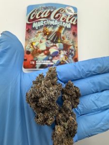 sprinklez strain