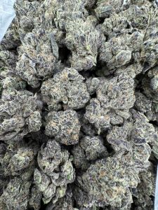 blue platinum strain