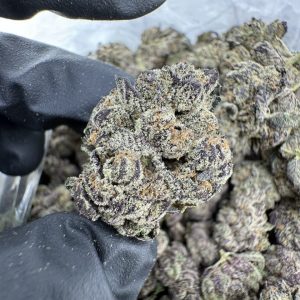 blue platinum strain