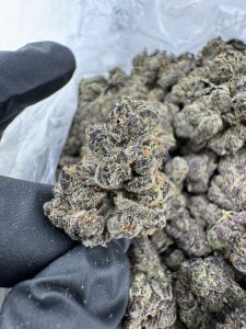 blue platinum strain