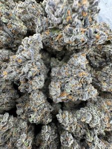 hawaiian headband strain