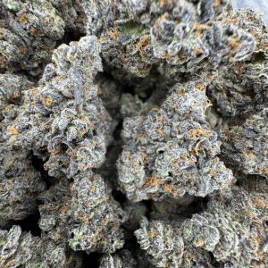 hawaiian headband strain