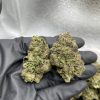 biscotti cake strain