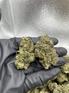 biscotti cake strain